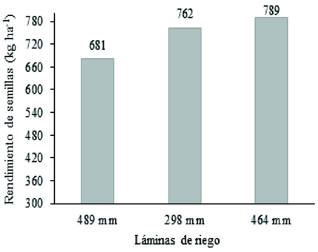 Rendimiento de
semilla por influencia de láminas de riego.