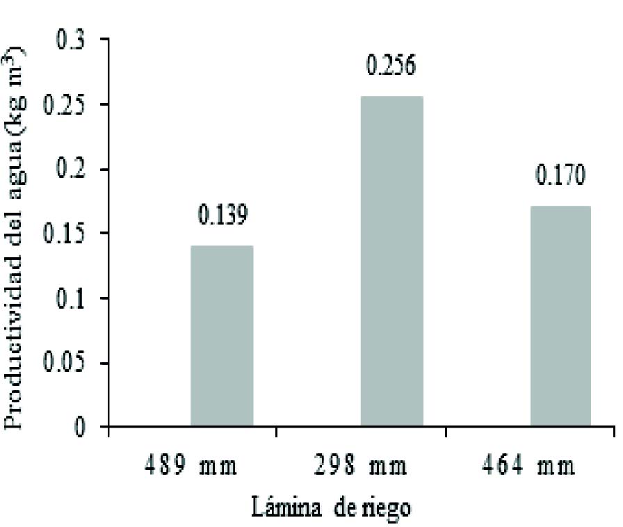  Productividad
de agua según láminas de riego.