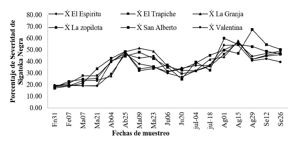 Porcentaje de severidad de Sigatoka Negra.