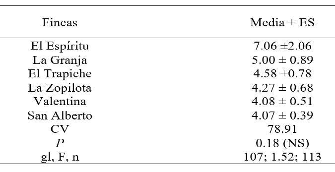 Análisis de varianza del porcentaje de incidencia de Verticillium
sp. En seis fincas plataneras del departamento de Rivas 2014.