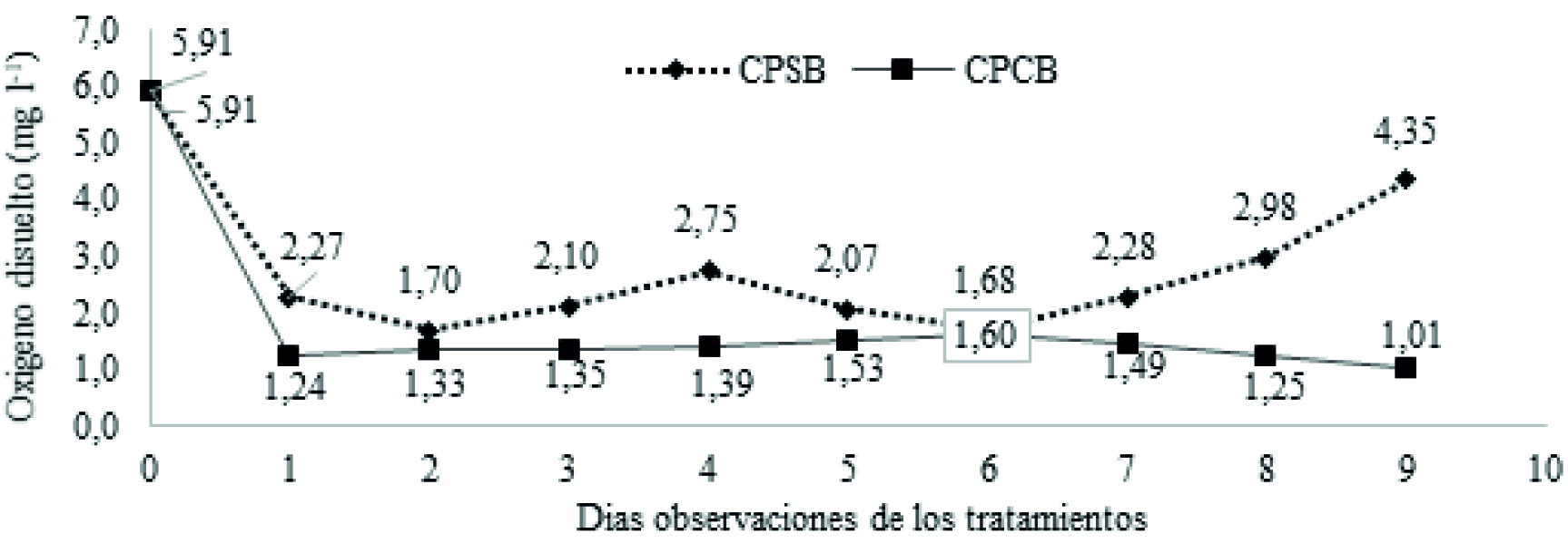 Oxígeno disuelto (mg l-l) en aguas residuales acuícola con planta de
lechuga (Pistia stratiotes) con o sin
barrera. 

CPSB: Con plantas sin barrera; CPCB: Con
plantas con barrera.