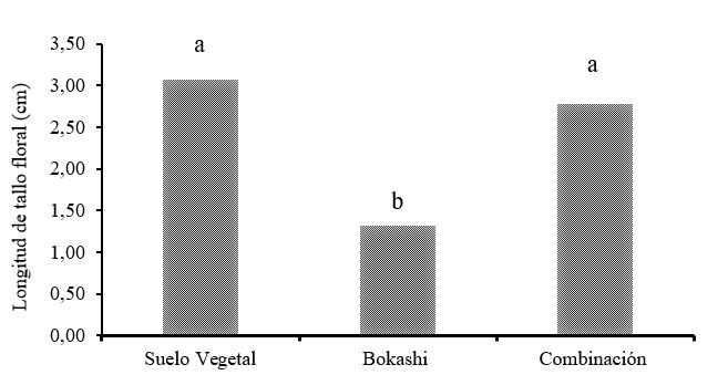 Longitud del
tallo floral por efecto de los sustratos