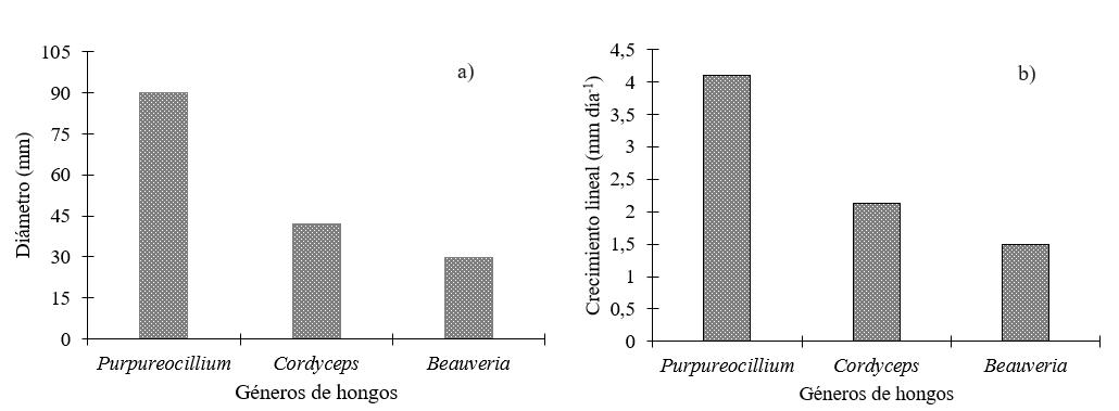 Di&aacute;metro
(mm) de las colonias (a) y crecimiento
radial (mm d&iacute;a-1) (b) por g&eacute;nero
al d&eacute;cimo d&iacute;a de crecimiento.