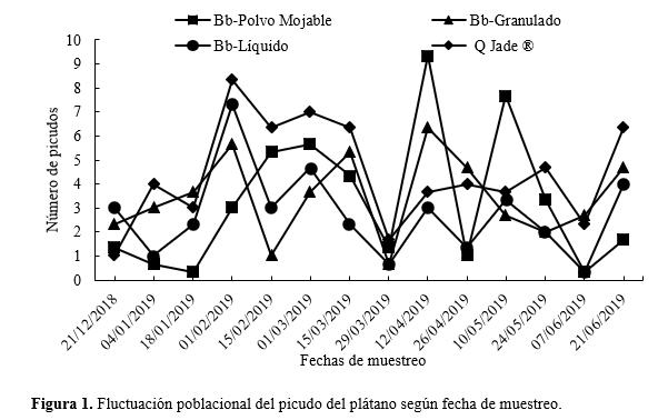 Fluctuaci&oacute;n poblacional del picudo del
pl&aacute;tano seg&uacute;n fecha de muestreo. 
