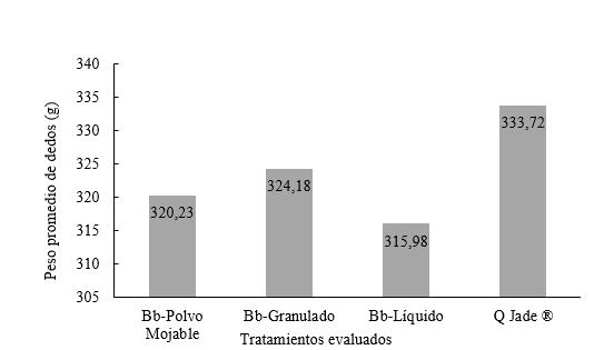 Peso de dedos totales de pl&aacute;tano por tratamiento.
