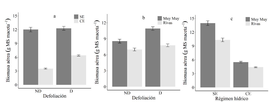 Biomasa a&eacute;rea
(g MS maceta-1) de C.
mucunoides en funci&oacute;n de la
defoliaci&oacute;n y el r&eacute;gimen h&iacute;drico (a), en funci&oacute;n de la defoliaci&oacute;n y la procedencia
(b) y en funci&oacute;n del r&eacute;gimen h&iacute;drico y la procedencia (c). 