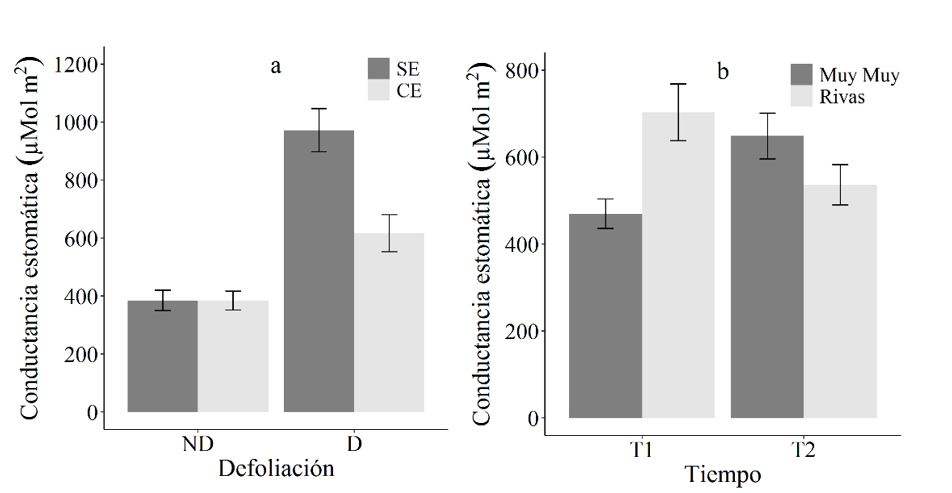 Conductancia
estom&aacute;tica (μMol m2) de C. mucunoides en funci&oacute;n de la defoliaci&oacute;n y el r&eacute;gimen h&iacute;drico (a) y en
funci&oacute;n del tiempo y la procedencia (b).
