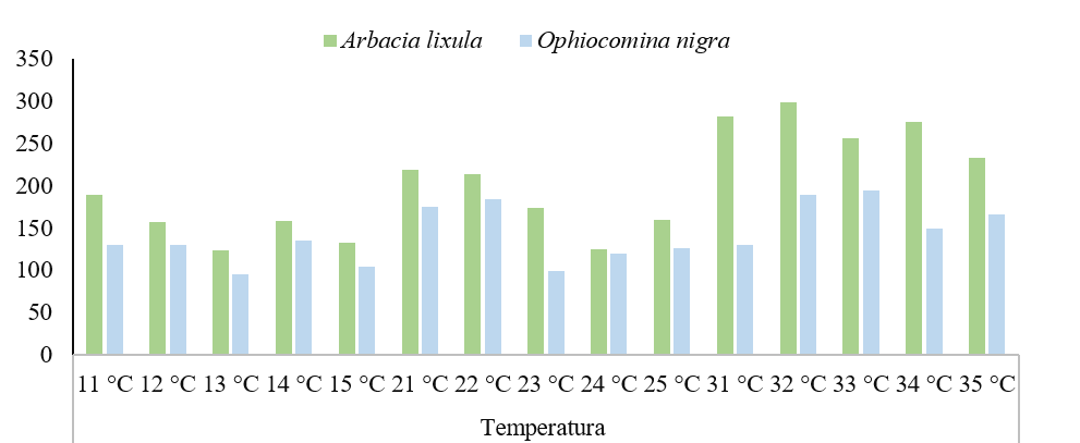 Abundancia de las
especies Arbacia lixula y Ophiocomina nigra en estratos rocosos de
la zona  

intermareal de Chacocente.