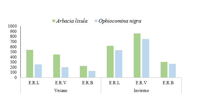 Riqueza de
especies Arbacia lixula y Ophiocomina nigra en estratos rocosos de
la zona intermareal &ndash;  

Playa Chacocente.