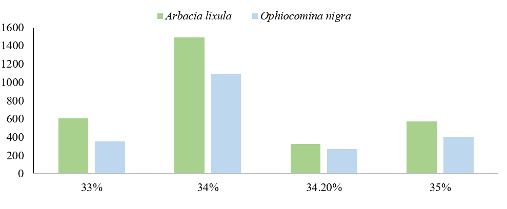 Abundancia de las especies Arbacia
lixula y Ophiocomina nigra en
funci&oacute;n de la Salinidad en la zona  

intermareal de Chacocente. 
