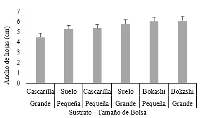 Ancho de hojas según sustrato y tipo de bolsas (interacción de factores).