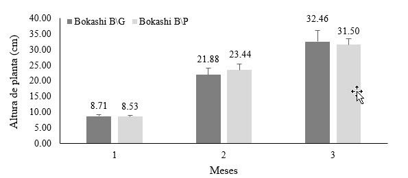 Altura de la planta (cm) por influencia de Bokashi y tipo de bolsa según
momento de muestreo.