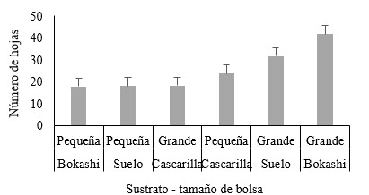 Número de hojas
según sustrato y tipo de bolsa. (interacción de factores).