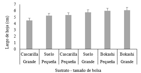 Largo de la hoja de hojas por
sustrato y tamaño de bolsas (interacción de factores).