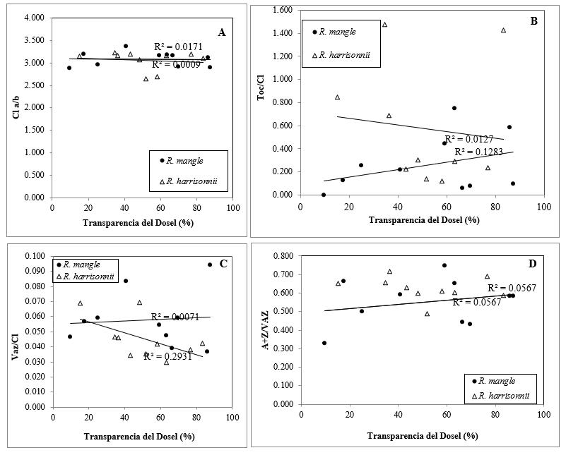 Respuesta al porcentaje de transmitancia del dosel de los parámetros
indicativos de fotoprotección en hojas de Rhizophora mangle y R. harrisonii,
(n>5). Mol Clorofila a/mol Clorofila b (Chl a/b;
A); mol Tocoferol/mol Clorofila Toc/Chl;B); mol (Violaxantina+Anteraxantina+Zeaxantina)/mol Clorofila(a+b)(VAZ/Chl(a+b);C);
mol Anteraxantina+Zeaxantina/ mol Violaxantina+Anteraxantina+Zeaxantina
(A+Z/VAZ; D).