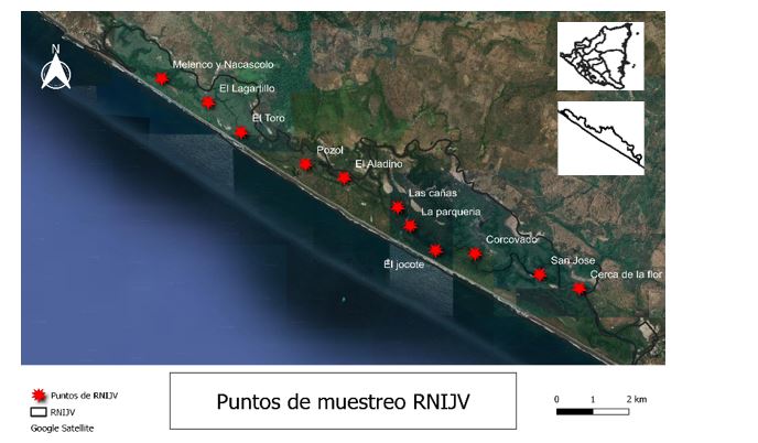 
Mapa de la Reserva Natural Isla Juan Venado (RNIJV). Los puntos rojos  

se&ntilde;alan
los 11 puntos muestreados a lo largo de la isla.  Autor: Carlos Sol&iacute;s (2022).