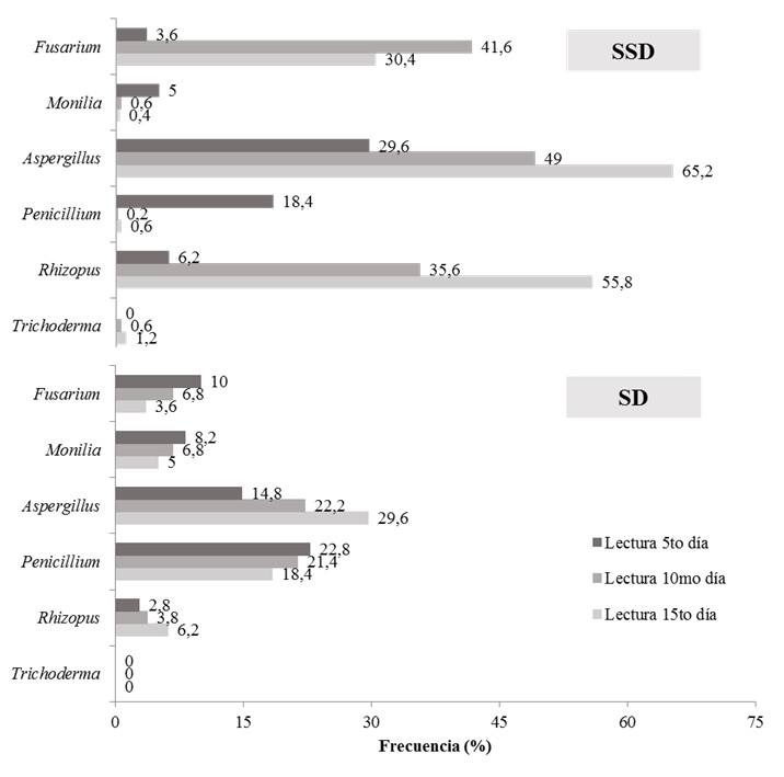 Frecuencia relativa (%) de aparici&oacute;n por g&eacute;nero f&uacute;ngico en
semillas de moringa,  

sin desinfectar (SSD) y desinfectadas (SD).