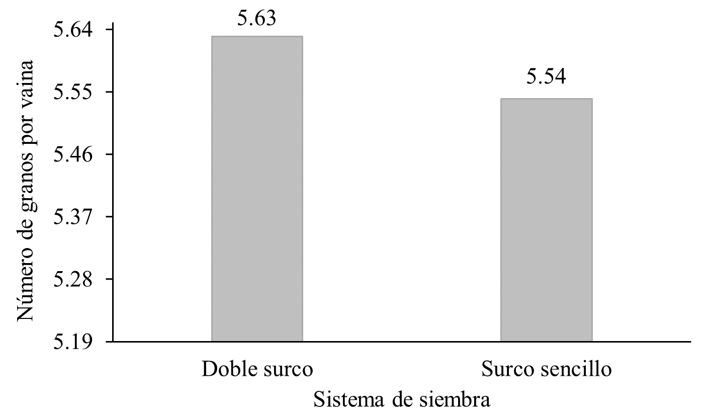 Número de granos
por vaina por influencia de los sistemas de siembra