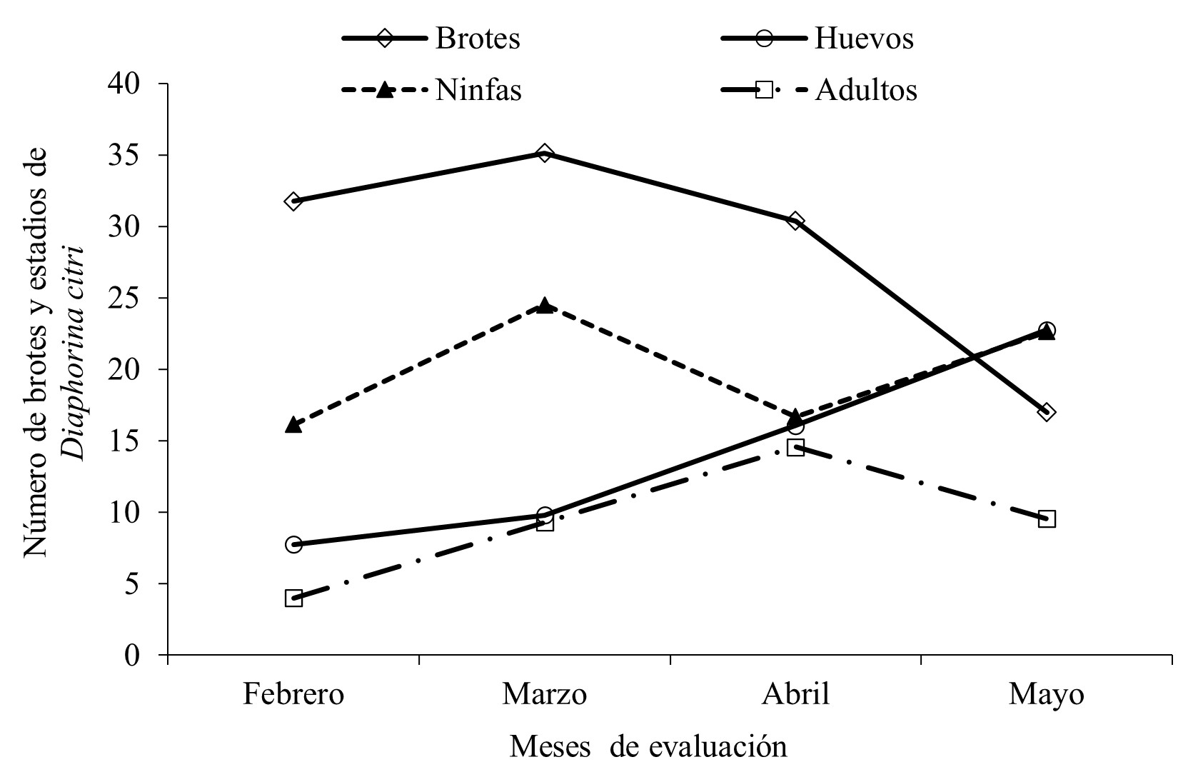 N&uacute;mero promedio de los diferentes estadios de Diaphorina citri y de brotes vegetativos seg&uacute;n &eacute;poca de
muestreo.