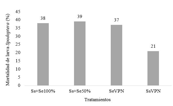 Porcentaje de mortalidad de larvas de Spodoptera
despu&eacute;s de 24 horas  

de aplicaci&oacute;n
de dos aislados de virus de la poliedrosis nuclear (VPN).