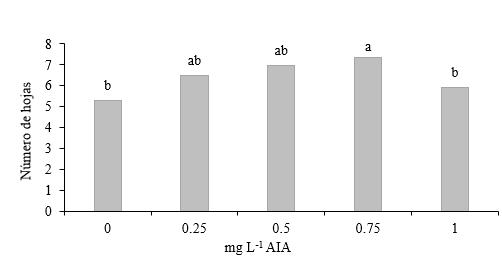 N&uacute;mero de hojas por efecto de
concentraciones de &aacute;cido indol ac&eacute;tico.
