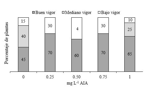 Vigor de
plantas (%) de segmentos de tallo con dos entrenudos con yema  

apical seg&uacute;n variante de medio de cultivo.
