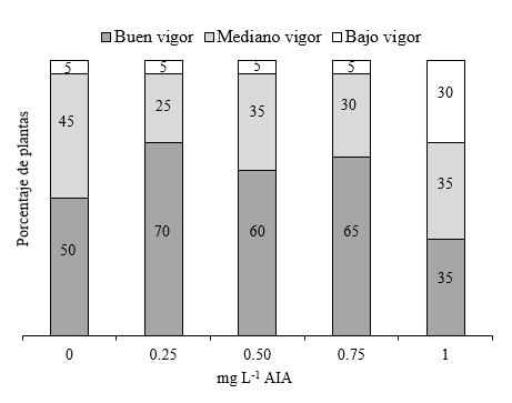Vigor de plantas (%) de segmentos de tallo con dos entrenudos sin 

yema apical seg&uacute;n variante de medio de cultivo.