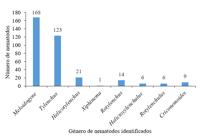 G&eacute;neros y cantidad de nematodos asociados al sistema
radicular