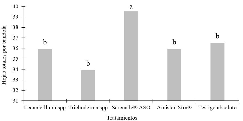 Número de hojas promedio por
bandola según tratamiento.  