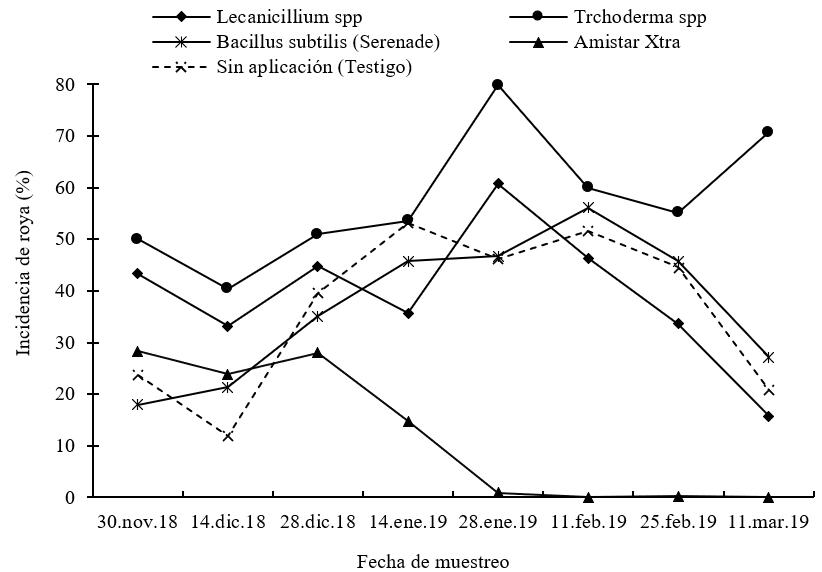 Incidencia de roya seg&uacute;n momento
de muestreo y tratamiento.