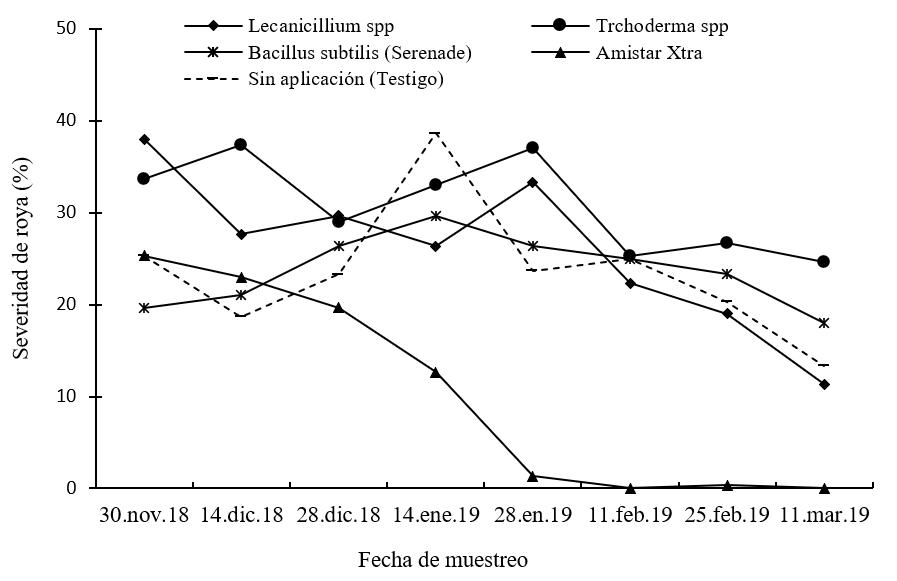 Severidad
de roya (%) seg&uacute;n momento de muestreo y tratamientos.  

 