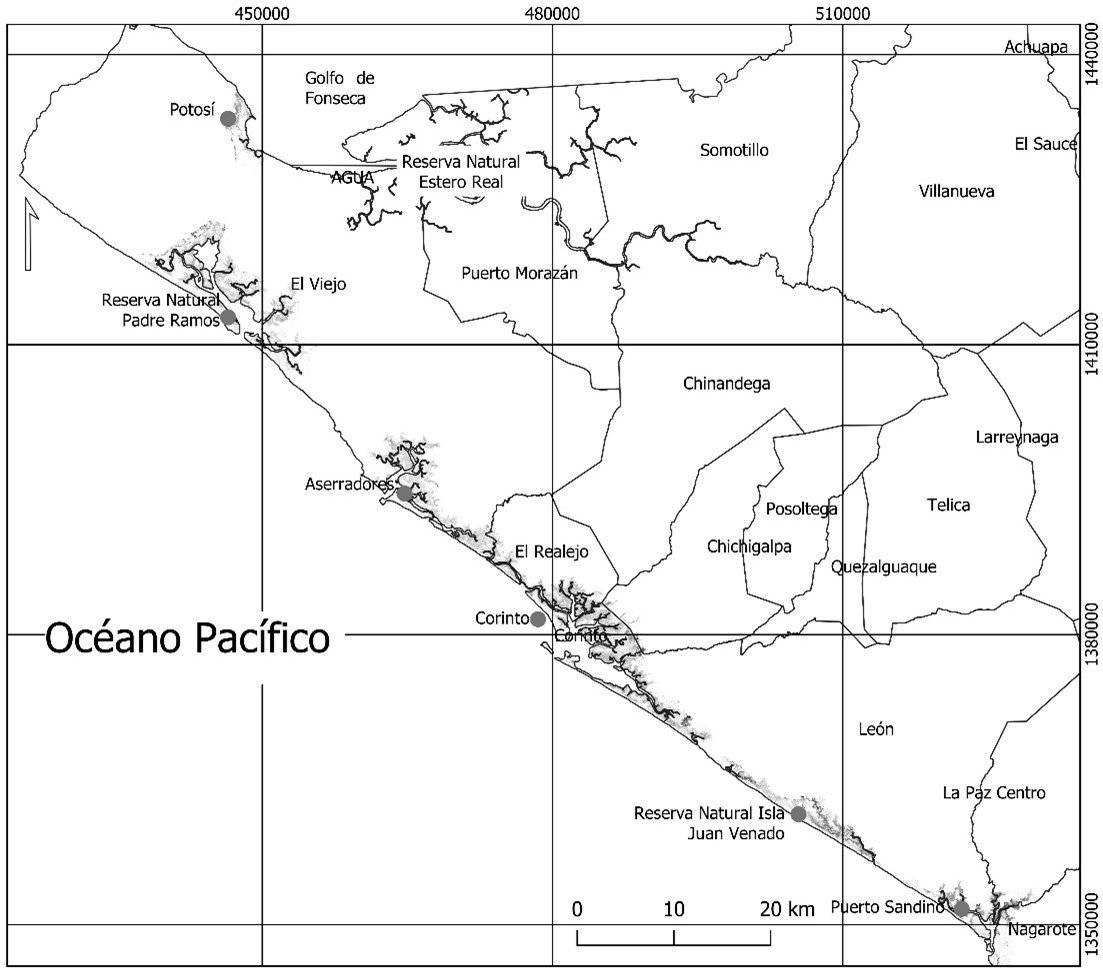 Ecosistemas de manglar en el Pacífico
Norte de Nicaragua, desde Puerto Sandino hasta Potosí.