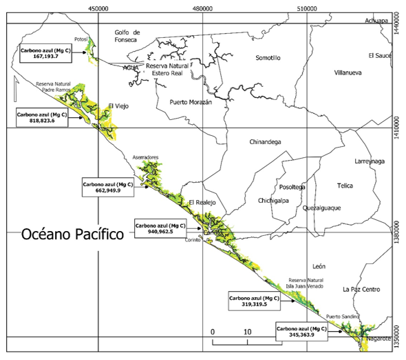 Carbono almacenado en los seis sistemas de
manglar del Pacífico Norte de Nicaragua