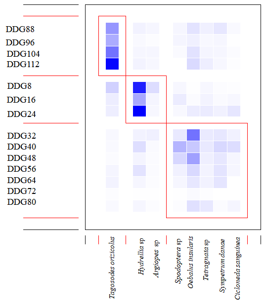 Asociación de las etapas de desarrollo de la planta y la entomofauna.