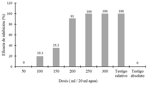 Eficacia de inhibici&oacute;n del &aacute;cido pirole&ntilde;oso sobre el hongo Colletotrichum sp seg&uacute;n dosis