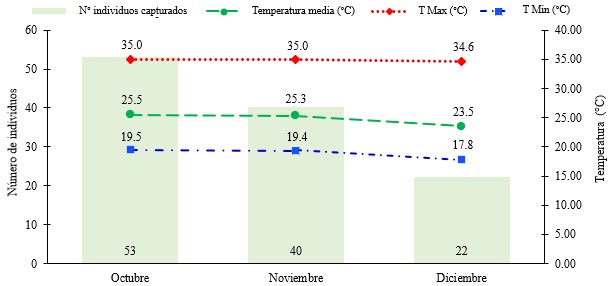 Número de individuos capturado según meses de muestreo en relación con la temperatura.