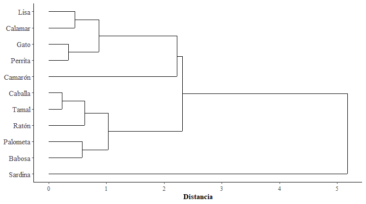 Especies marinas utilizadas como carnadas agrupadas según frecuencia y peso (kg) en términos de su uso.