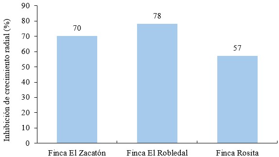 Inhibición de crecimiento radial (%) de Bacillus subtillis en aislados de Phytophthora infestans según sistema de producción
