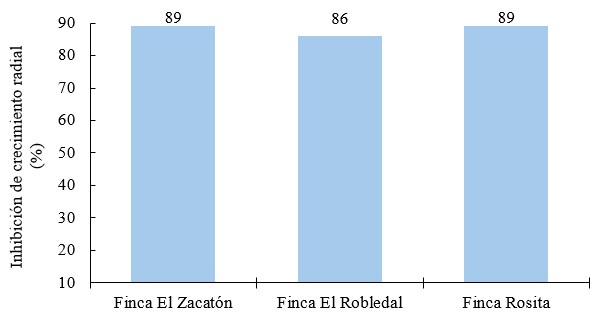 Inhibición (%) de metalaxyl+mancozeb en aislados de Phytophthora infestans 