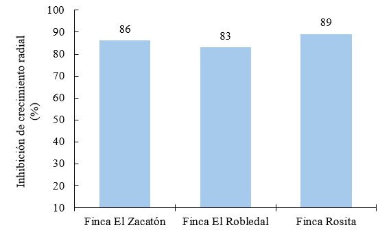  Inhibición de crecimiento radial (%) de oxicloruro de cobre sobre aislados Phytophthora infestans 