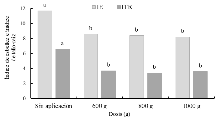 Índice de esbeltez (IE) e índice de tallo-raíz (ITR) según tratamiento.