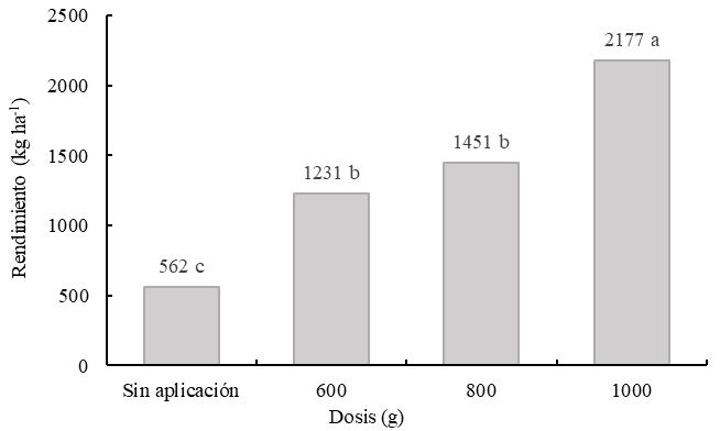 Rendimiento del frijol (kg ha-1)según tratamientos