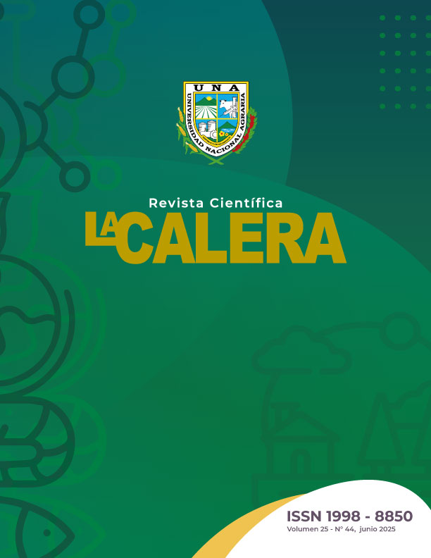 					Ver Vol. 25 Núm. 44 (2025)
				