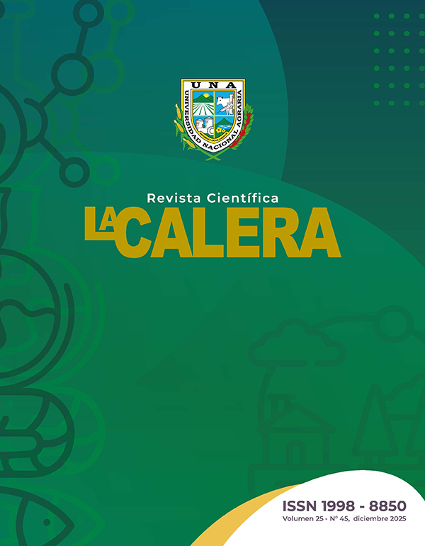 					Ver Vol. 25 Núm. 45 (2025)
				