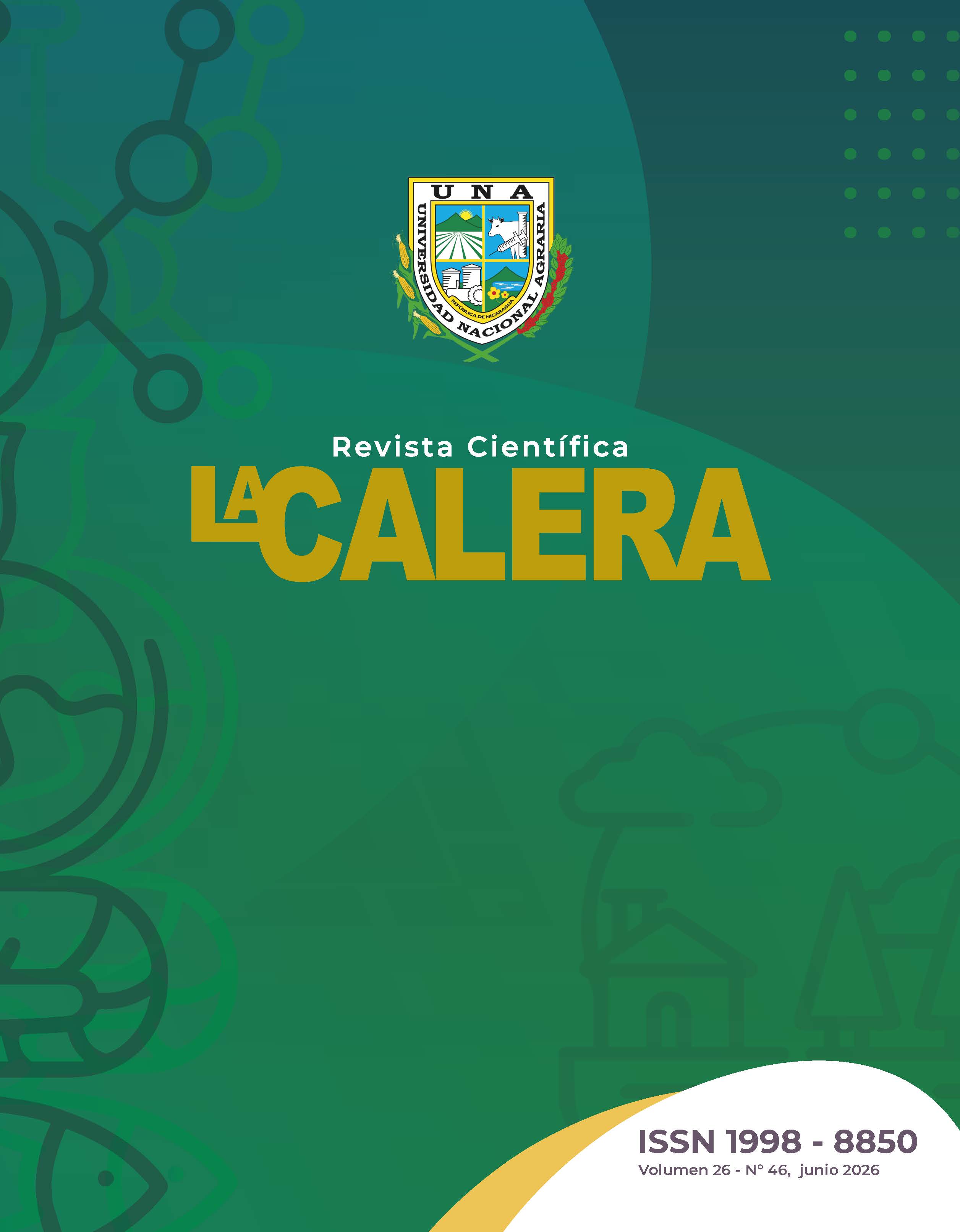 					Ver Vol. 26 Núm. 46 (2026)
				
